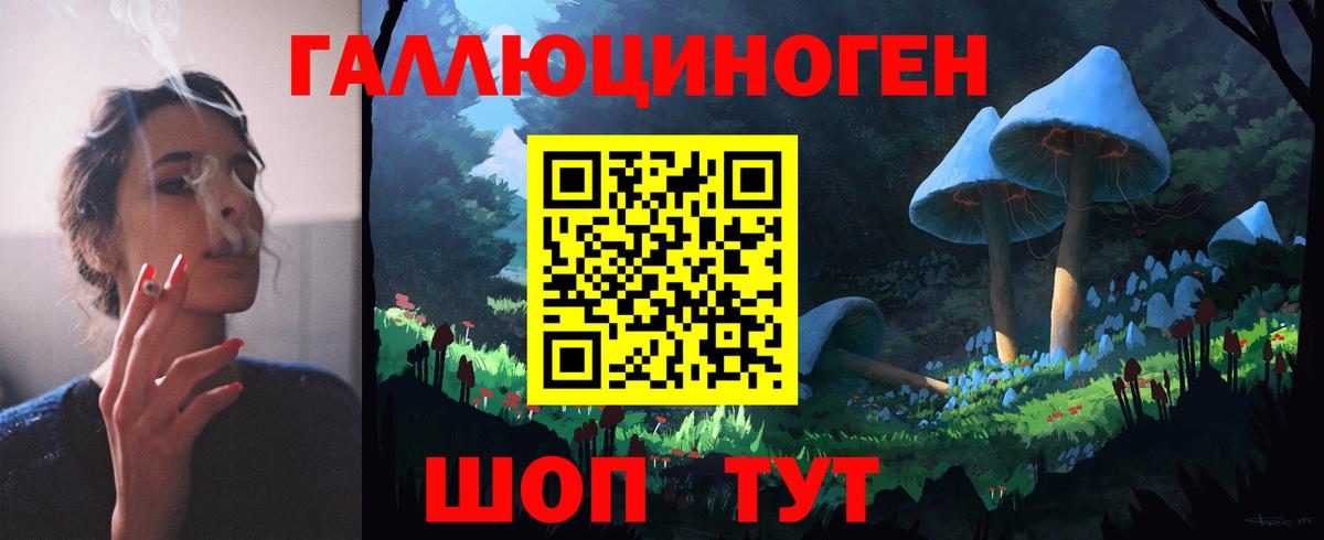Хабаровск  Галлюциногенные грибы GOLDEN TEACHER  Галлюциногенные грибы ЛСД  Вход с VPN 
